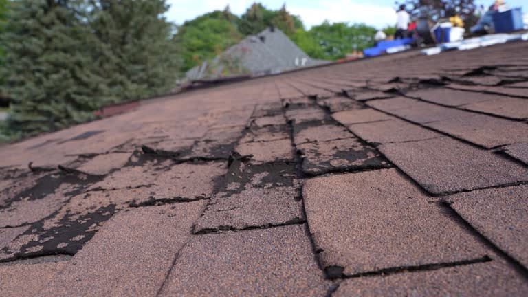 Best Steel Roofing  in Pine Air, FL