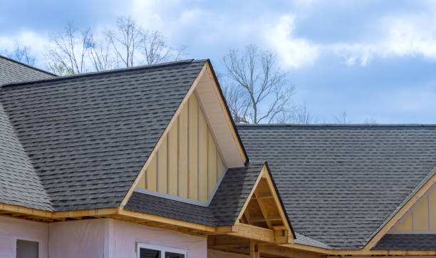 Best Asphalt Shingles Roofing  in Pine Air, FL