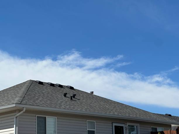Best Chimney Flashing Repair  in Pine Air, FL
